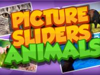 Picture Slider - Animals