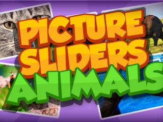 Picture Slider - Animals